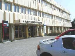 AMS Horn
