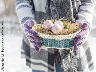500_AdobeStock_197601634_OsternSchnee