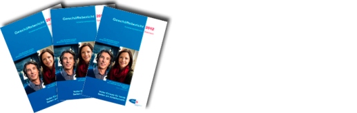 Geschäftsbericht 2012