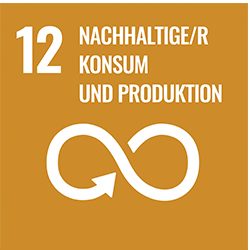 Nachhaltige/r Konsum und Produktion - icon