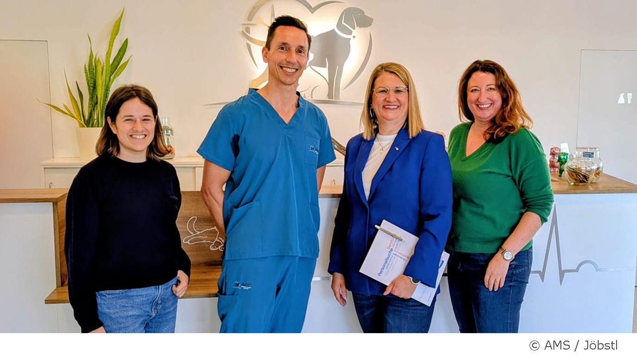 Impulsberatung – Unternehmen passgenau unterstützen