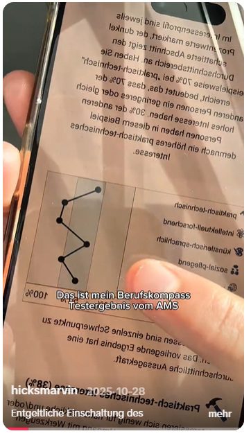 Man sieht einen Screenshot vom Posting von hicksmarvinn auf TikTok zur Jugendkampagne "Werde du."