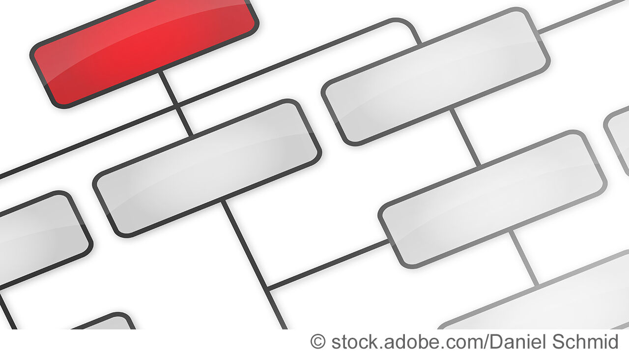 Organisation, Organisationsstruktur