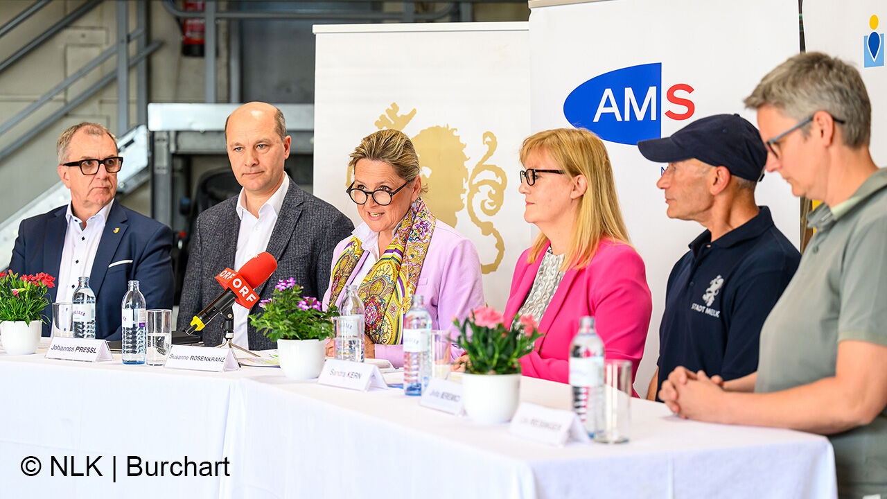 Foto des Podiums zur Pressekonferenz "Jobchance" am 6. Mai 2024 in St. Pölten