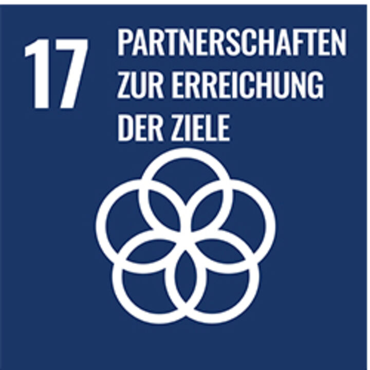Partnerschaften und Erreichung der Ziele - icon