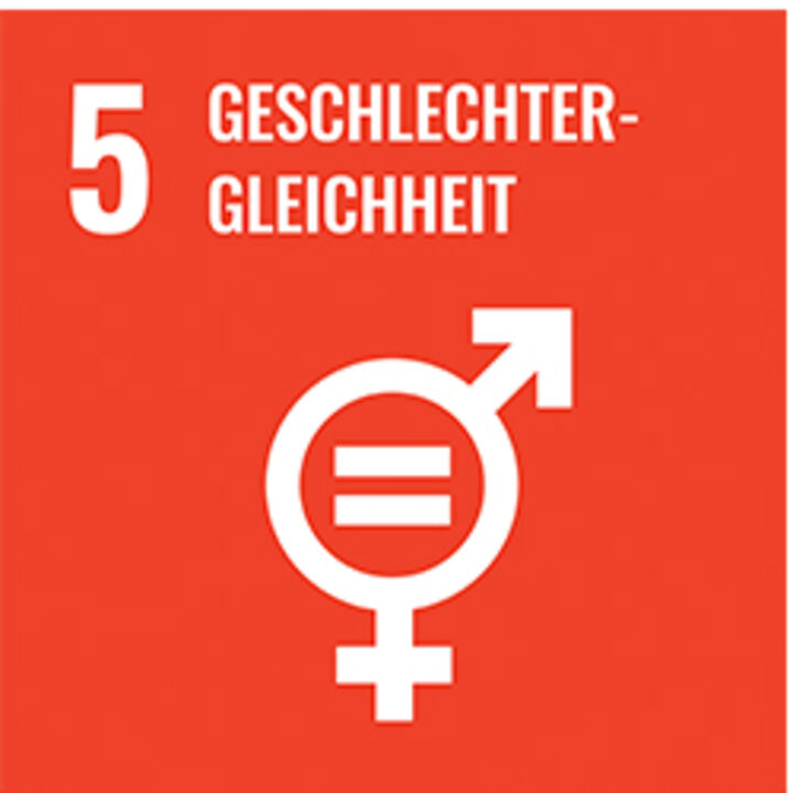 Geschlechter Gleichheit - icon