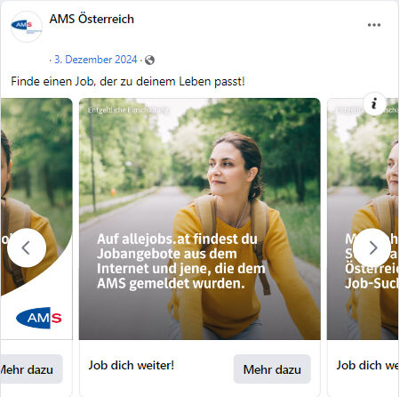 Man sieht eine Frau mit dem Fahrrad eine Straße entlang fahren."Auf allejobs.at findest du Jobangebote aus dem Internet und jene, die dem AMS gemeldet wurden.."